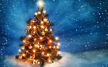 Примите наши поздравления 2023-2024