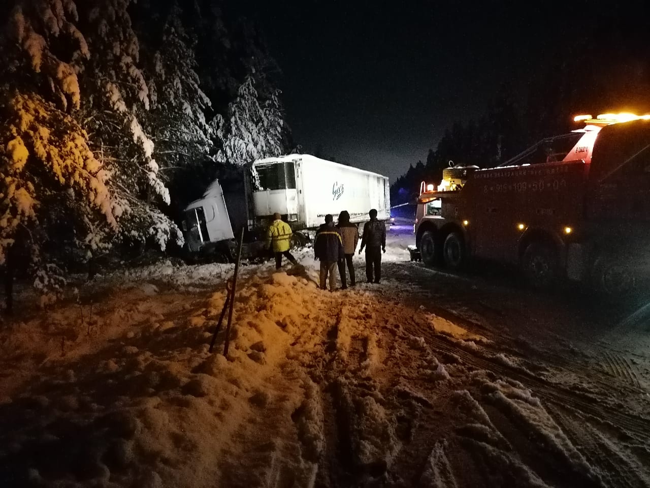 Фура съехала с трассы и врезалась в лесной массив